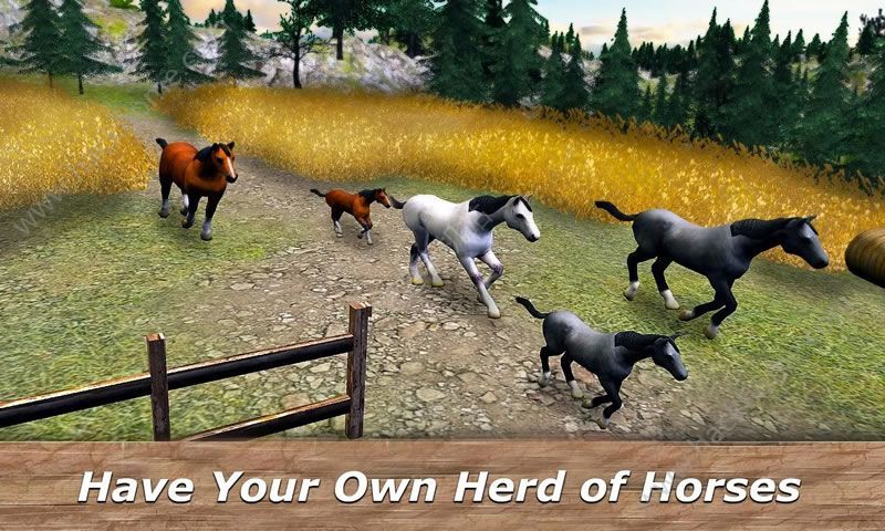 牧群护理模拟器(Horse Stable: Herd Care Simulator)