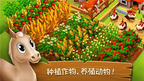 农庄物语2最新版(Farm Story 2)